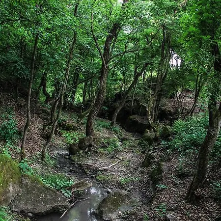 Vendégház Malom Udvar étterem és